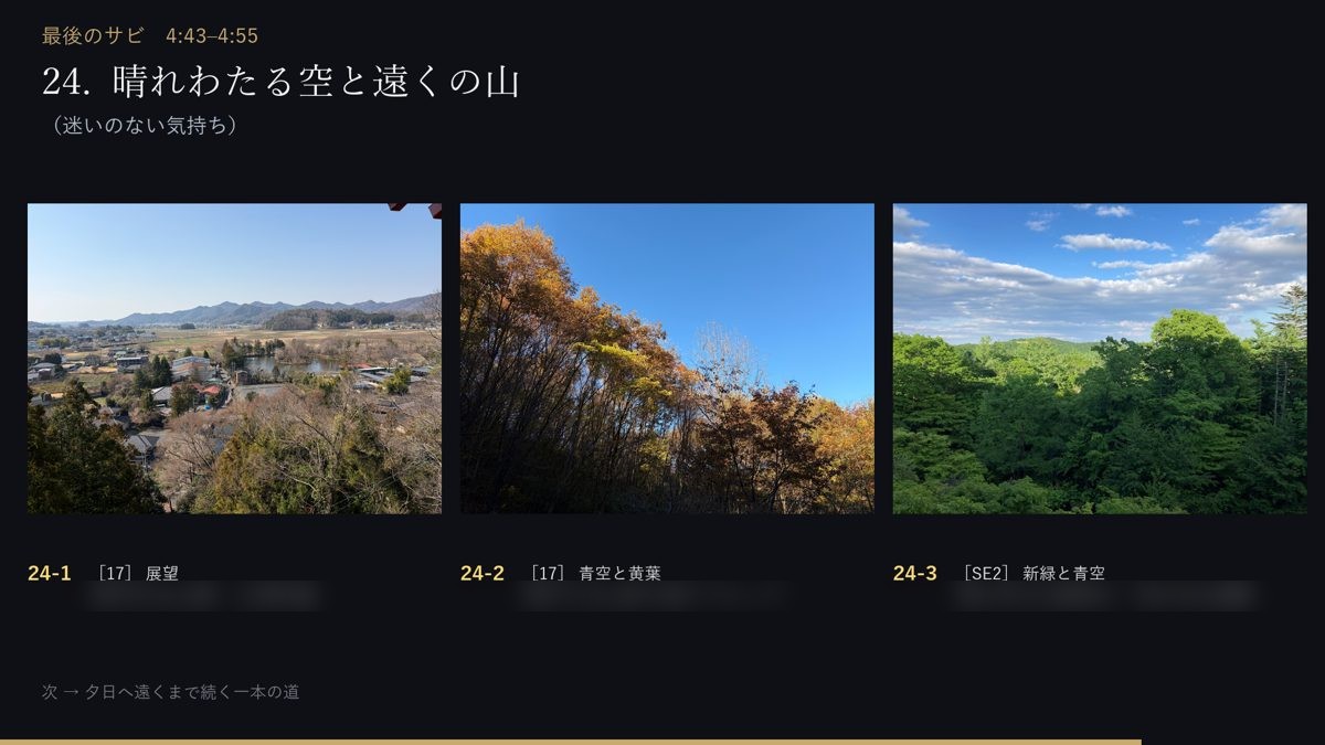 写真入りの絵コンテ動画。1画面に候補3枚と、シーンの言葉